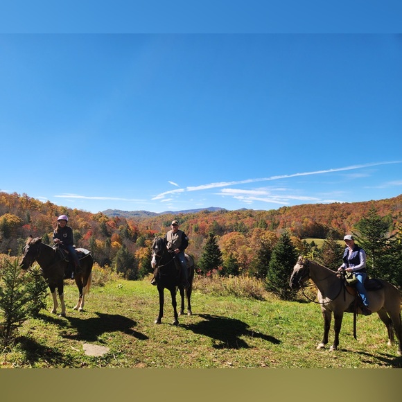 Cheers 🥂 - Picture 4 of 14